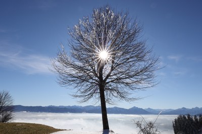 Über dem Nebel