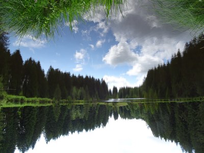 Verkehrte Welt