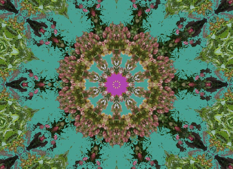 062 Peter Haggenmiller - Variation Kaleidoskop.jpg