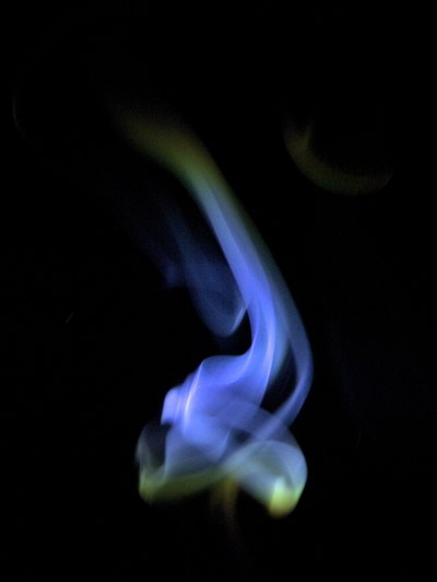 P1130768-1.jpg