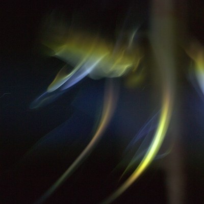 P1130795.jpg