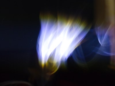 P1130821-1.jpg