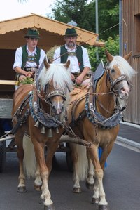 small_IMG_9077.jpg